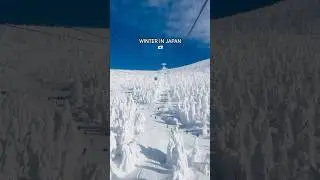 What #winter in #japan looks like #skiing #japanese #asia #snowstorm #snowfall ​⁠@Luv2SeeMore