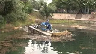 TV Banat Vrsac - BELA CRKVA, CISCENJE JEZERA OD VODENIH TRAVA