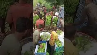 khela pakane ka Tarika🤔 #shorts #shortvideo #youtubeshorts