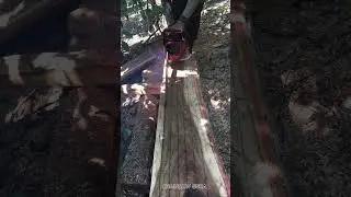 Make Wooden Board Chainsaw Operator Skills #shortsfeed #wood #chainsaw #youtubeshorts #woodwork