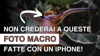 La Fotografia Macro con iPhone È MIGLIORE di Quello che Pensi!