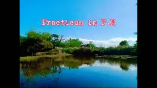 Alyssa De real - Practicum in P.E