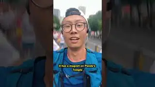 Panda Marathon Medal Chengdu 2023 My 1st Half Marathon #marathon #medal #halfmarathon #panda