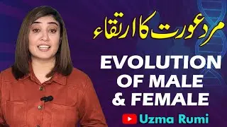 Evolution of Male and Female | Man and Woman Evolution | Uzma Rumi