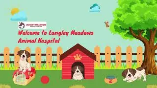 Langley Meadows Animal Hospital - Veterinarian in langley