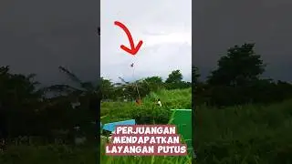 PERJUANGAN DEMI LAYANGAN