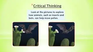 Grade 2 Science: Lesson 2: How animals spread pollens