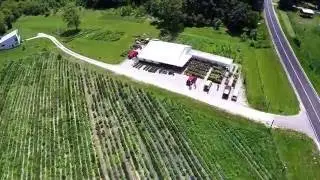 Hidden Springs Flower Farm