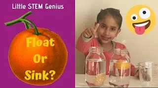 Why do whole orange float but peeled orange sink? | Easy Science Experiment by LittleSTEMGenius