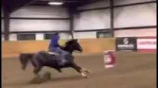 Hilltops Jewel winning the 2D
