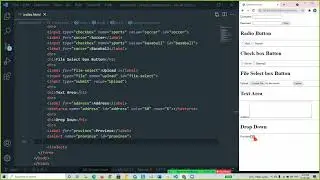 Form Tage in HTML