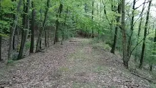 Four different railroad grades. Not sure what's what? Schuylkill County PA.