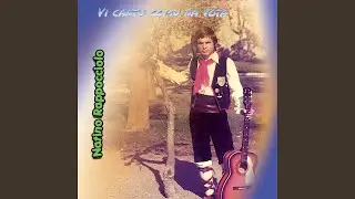 Pitturi meu
