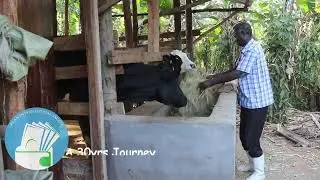 Agricultural  Loan  through Plan International SACCO  boosted Stephen Nabende's farming business.