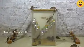Best mouse trap homemade idea 2025 version 37 - DIY