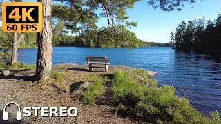 Nature walk around the lake Hedg&auml;rdessj&ouml;n in Skene, Sweden [4K 60fps, stereo sound]