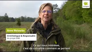 Pourquoi Natagora capture des mulots ?