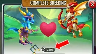 2 Days Good Breeding From Sea Virago Dragon And Flame Virago Dragon 😱
