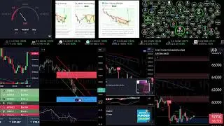 Bitcointradinginformant Live 24/7