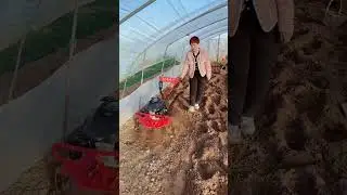 Multi-function micro-tillage machine On-site real shot Three rural areas Rotary tillage machine.