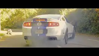 Breathtaking Shelby GT500 - the Ultimate Wedding Car!