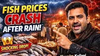 Fish Market Rates Crash After Rain! 😱