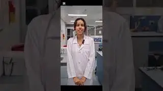 Sinergia Verde