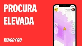 Procura Elevada | Sistema de bónus | Yango Pro