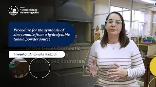 Procedure for the synthesis of zinc tannate from a hydrolyzable tannin powder source
