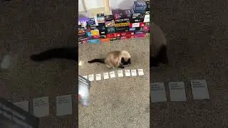 Карты против человечества