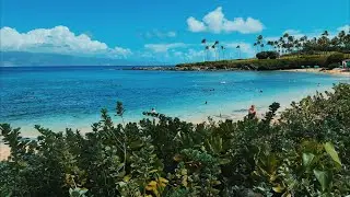 Kapalua Bay Beach: Sparkling Blue Water and Clean Sand!