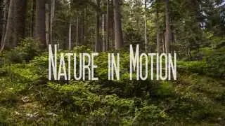 Nature in Motion [4K Ultra HD]