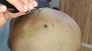 Attractive dandruff remove head shave ASMR relaxing sound tutorial zaibi Barber shop