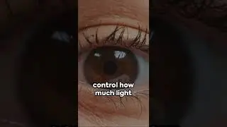 Do You Know This? 🤯 | Amazing Facts #shorts #doyouknow