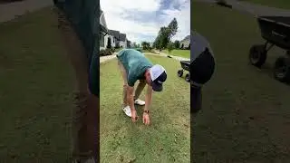 I&rsquo;m tearing it up! By core aerating it and making it better ⛳️&hellip; #bermuda #lawn #aerating #diy