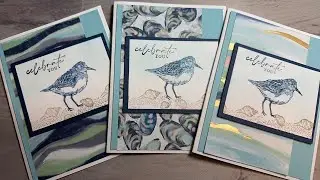 🐚5 Super Easy Cards Using By the Bay DSP!