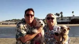 North Beach Del Mar - Affectionately Called Dog Beach | Carmel Valley San Diego 92130