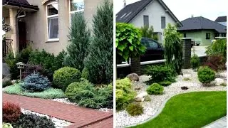 Transforming Outdoor Oasis:The Art of Beautiful Landscaping your Backyard/ Gardening ideas for home