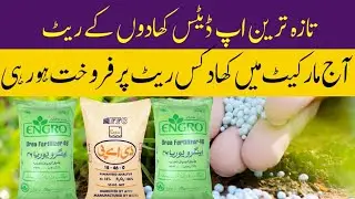 Today all  fertilizer new rate in Punjab Pakistan 2023|urea khad Dap khad new rate price| business