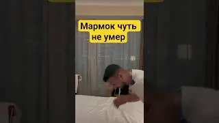 🤢Мармок жёстко подавился #мармок #marmok #fail #shorts #game #comicon2025 #johan #cr7 #a4