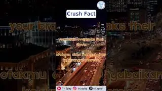 Crush fact 💓 #FaktaUnik #PengetahuanMenyenangkan #FaktaRandom #funfact #faktaseru #crushfacts