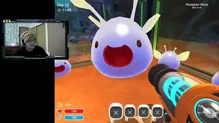 VOD: Ranching some SLIMES!