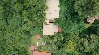A Hostel in the Cloud Forests of Panama: The Lost and Found