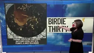 BIRDIE THIRTY: 
