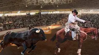 &iexcl;&iexcl;LLENISISMO!! TOROS BRAVOS BUSCA CABALLOS EN PURUANDIRO MICHOACAN!! HILARIO CABEZAS 04 ENERO 2026