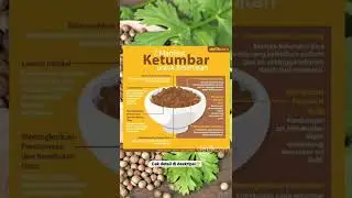 Ketumbar Bumbu Dapur Ternyata Banyak Manfaat
