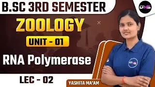 B.Sc 3rd Semester Zoology Unit-1st RNA Polymerase Lec-02 || 3rd Semester Zoology Class Unit-01