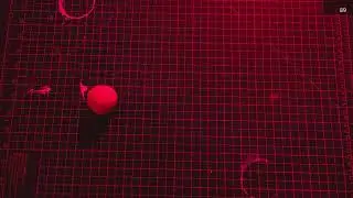 Aardman Academy Foundation Stop Motion Week 1