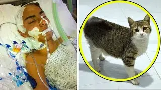 This Hospice Cat Entered a Patient&rsquo;s Room, Then the Entire World Heard This Shocking Story!