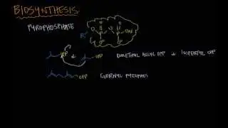 From terpenes to steroids part 1:  terpenes